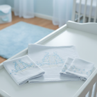 Kit Fraldas Bordadas Azul Bebê 5 Peças
